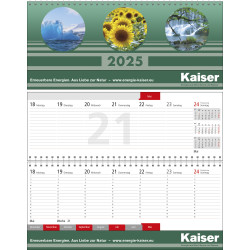 Quer-Terminplaner Business-plus Register