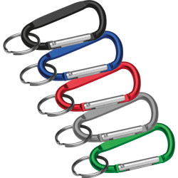 Schlüsselanhänger mit Karabinerhaken
