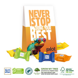 WERBETASCHE MIT SÜßER FÜLLUNG - 8 Stück (ca. 64 g) Ritter SPORT Schokowürfel