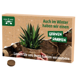 Adventskalender ECO L Samentütchen