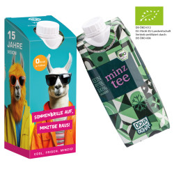 Drink Pack mit Ocha-Ocha® BIO Minztee Drink Pack mit Ocha-Ocha® BIO Minztee