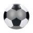 Fußball "Champion"