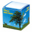 Würfel Baum Robinie (4-sprachig)