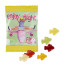 Fruchtgummi 15 g Tüten - Flugzeuge (w2p)