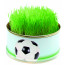 Zimmerarena Mini Garten Fußball, Ø 73 x 38 mm