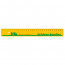 Lineal 30 cm
