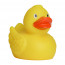 Schnabels® Quietsche-Ente Wings