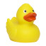 Schnabels® Renn-Ente, mit Metallplatte