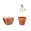 FORGET ME NOT Terracotta-Topf Vergissmeinnicht