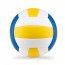VOLLEY Volleyball