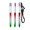 BIC® 4 Colours® Flags Collection + lanyard, grün, silber, rot