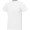 Nanaimo T-Shirt für Herren, weiß, XS