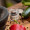 26 g Tellicherry Pfeffer ganz im Glas