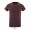 REGENT F HERREN T-SHIRT 150g, L, rot meliert