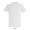 IMPERIAL MEN T-Shirt 190g, 3XL, aschgrau