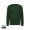 IQONIQ Etosha Lightweight Sweater aus recycelter Baumwolle, forest green