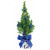 Festliches Bäumchen blau 20-30 cm, in Einzelkartonage