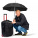 /a/l/alu-regular-umbrella-fare--ac-black-7560_artfarbe_433_detail_8011.jpg