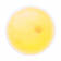 /a/p/ap781012-02_us4wcjgf_1.jpg