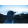/p/5/p518.020__m_401__0b3eb9e304cf4e8a96766fcbcd18a0f7_1.jpg