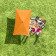 /p/a/parasol-r-apricot-8425_artfarbe_16728_detail_8776.jpg