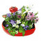 Frühling