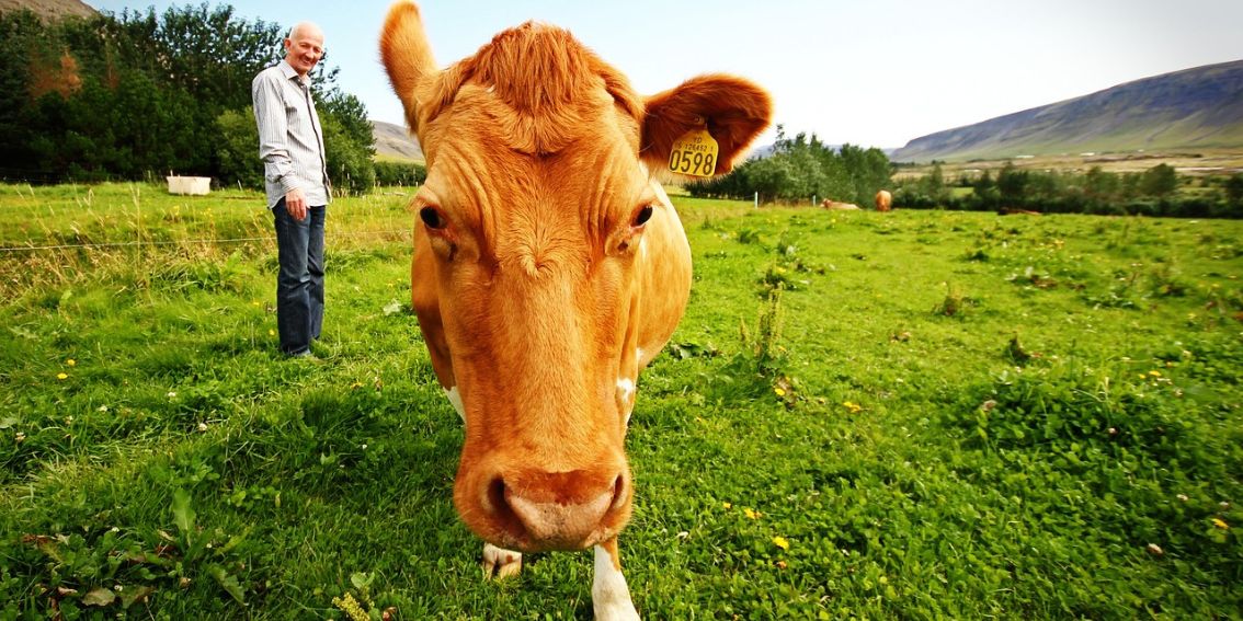 Werbegeschenke für die Landwirtschaft