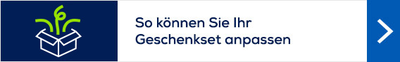 Optionen
